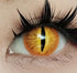 Demon Cat - lentille de couleur Orochimaru cosplay/Halloween ZenKon (coloris Or)