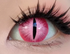 Demon Cat - lentille de couleur Orochimaru cosplay/Halloween ZenKon (coloris Rose)