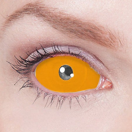 【Sclera】Orange