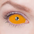 【Sclera】Orange