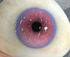 Serpent Rose - lentille de couleur cosplay/Halloween ZenKon (coloris Rose)