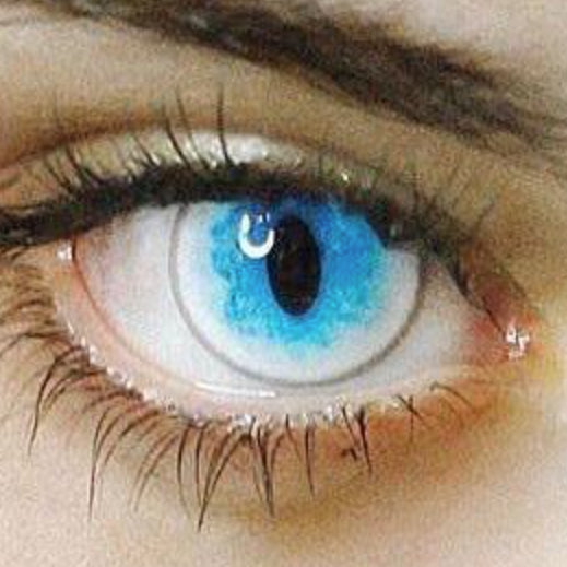 スノー・キャット- SFX-EYES 全眼カラコン 特殊カラコン コスプレ ハロウイン オーダーメイド アニメ 漫画 度付き 度入り 度あり