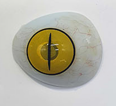 Slit Demon - lentille de couleur Demon Slayer cosplay/Halloween ZenKon (coloris Jaune)