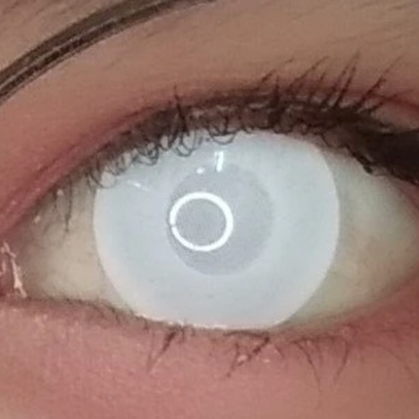 White Blind Mesh - lentille de couleur ブラインド&メッシュ cosplay/Halloween ZenKon